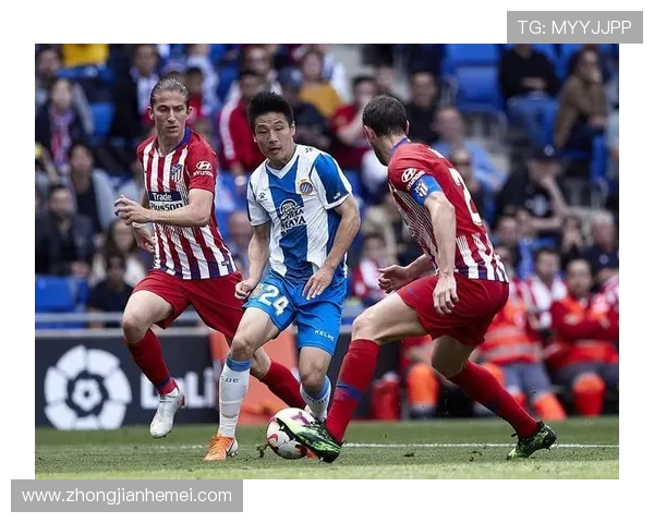 南京排球队以77分稳居洲际杯积分榜首位展现强劲实力